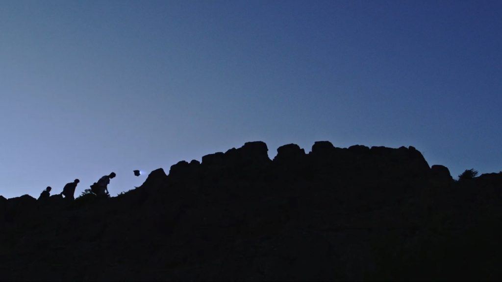 When All The Bees Flew Away