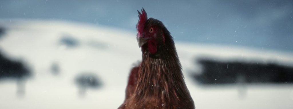 KFC is here to stay!